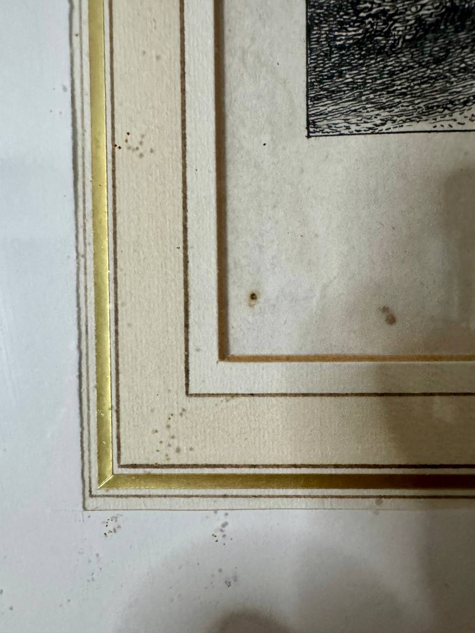 frame_detail