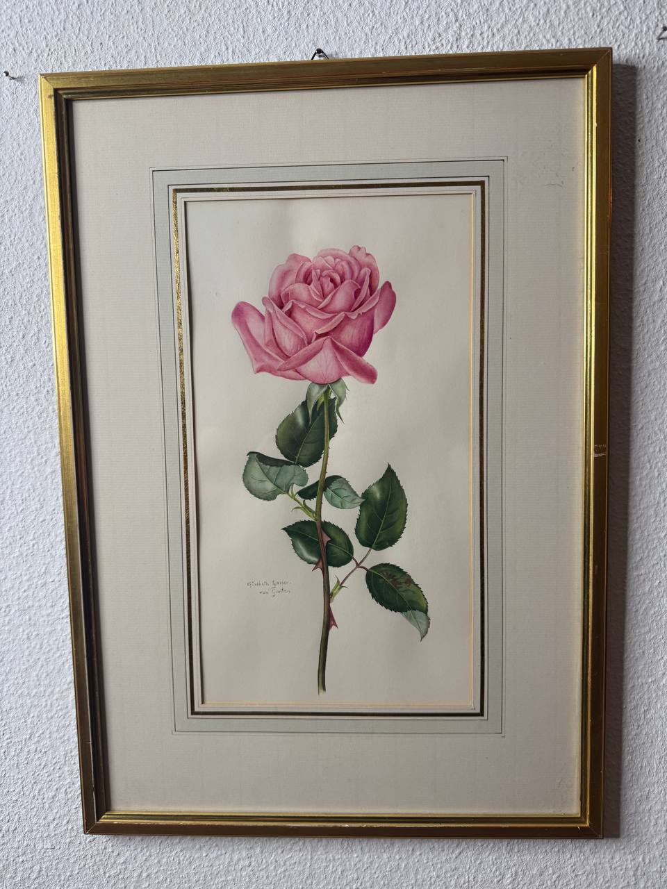 薔薇の花「バレエ」— エリザベート・ガッサー＝フォン・グンテンによるオリジナル水彩画です — Vorderseite