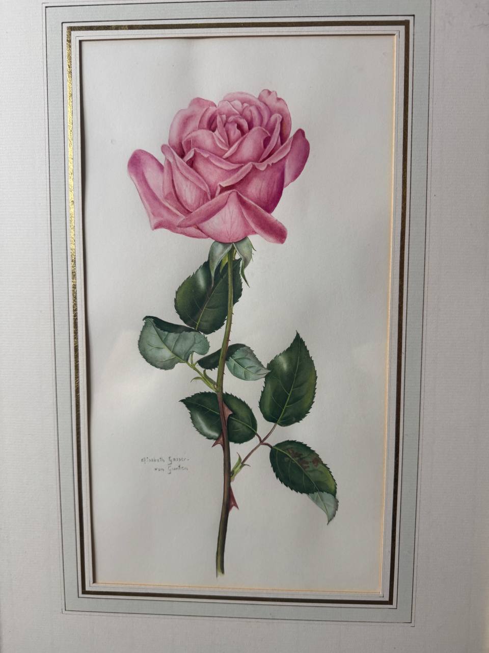 薔薇の花「バレエ」— エリザベート・ガッサー＝フォン・グンテンによるオリジナル水彩画です — Vorderseite
