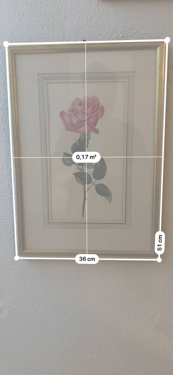 薔薇の花「バレエ」— エリザベート・ガッサー＝フォン・グンテンによるオリジナル水彩画です — Kontext