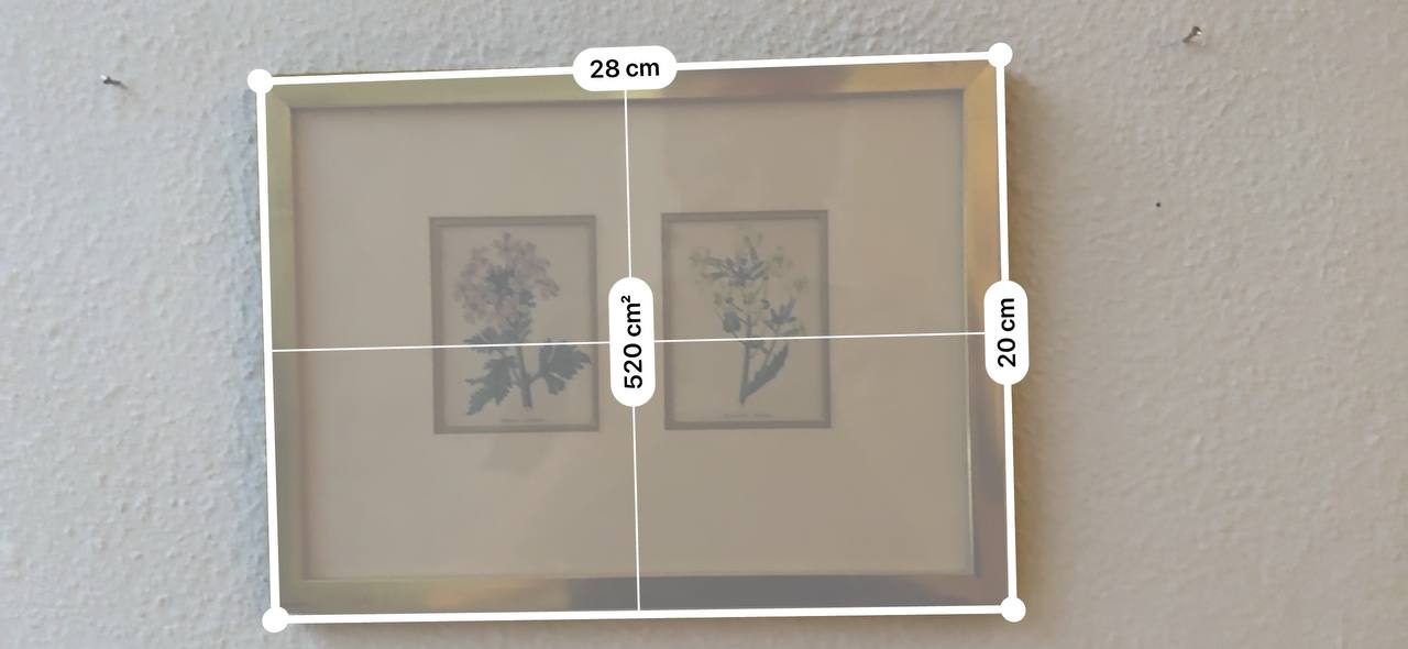 Zwei handkolorierte botanische Kupferstiche – Verbena Aubletia & Biscutella hispida, gerahmt — Kontext