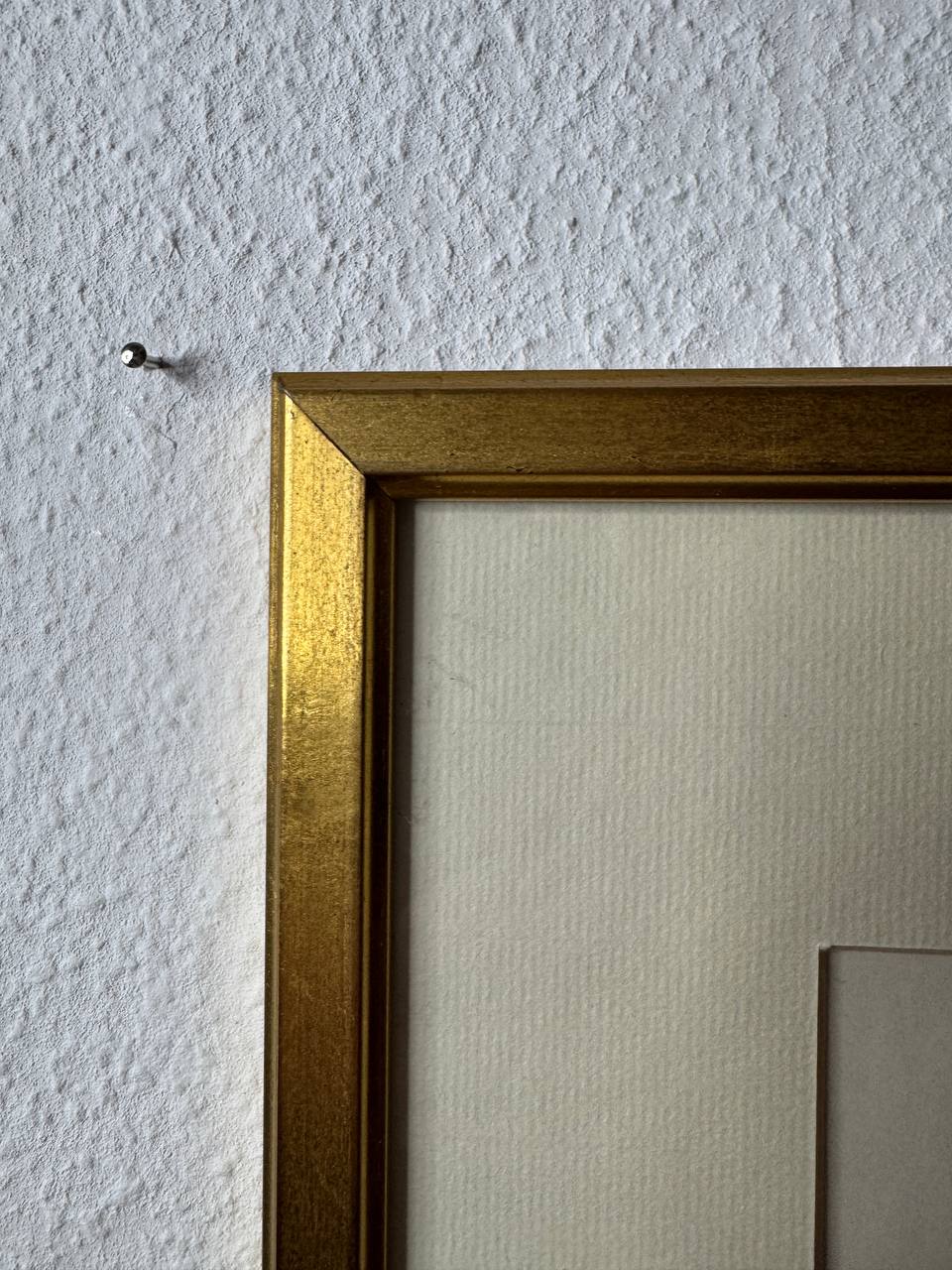 Botanische Lithographie: Blühende Stauden mit lateinischer Nomenklatur — Rahmen