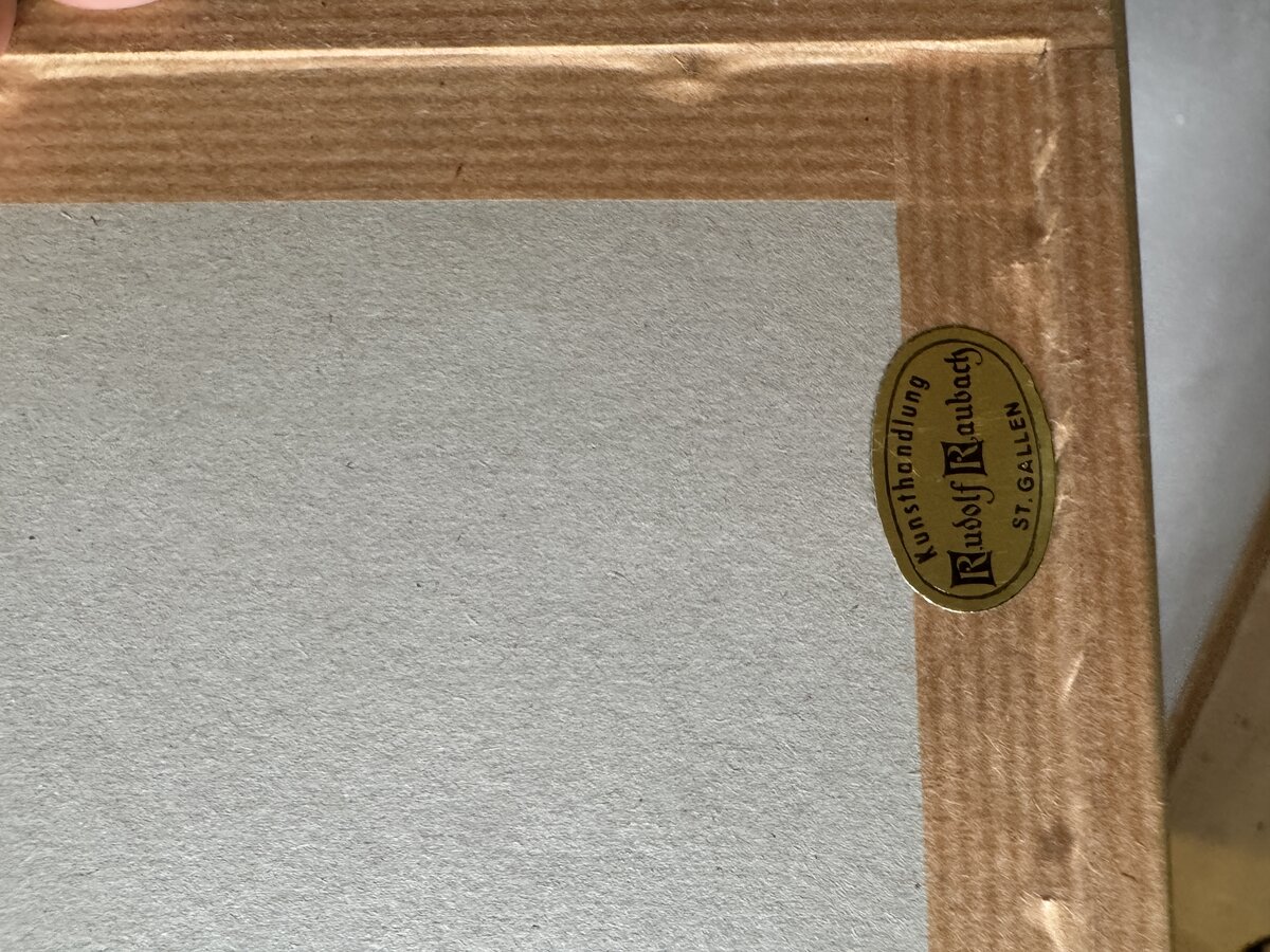 Zwei handkolorierte botanische Kupferstiche – Verbena Aubletia & Biscutella hispida, gerahmt — sticker