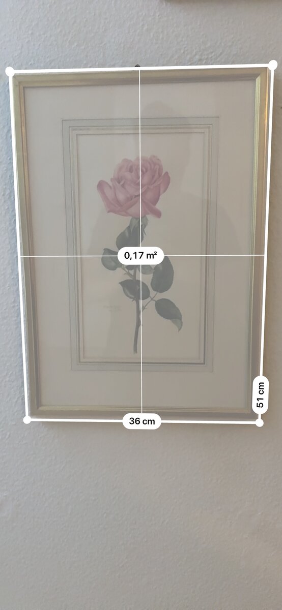 Rosa Rose — Botanisches Aquarell von Elisabeth Gasser-von Gunten — Kontext