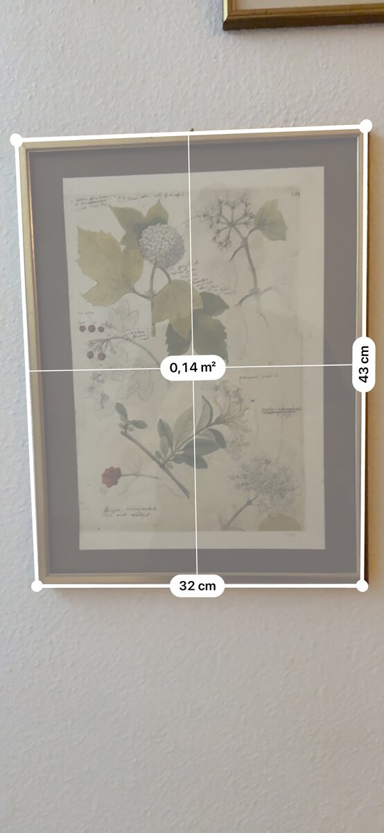 Botanische Studie aus Conrad Gessners 'Historia Plantarum' — Schneeball & Geissblatt (Faksimile) — Kontext