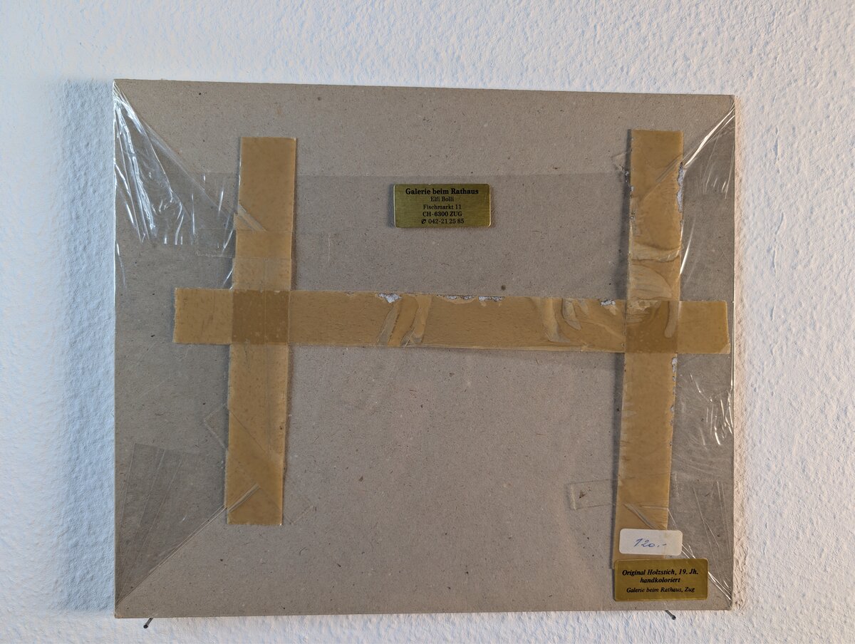 Rückseite
